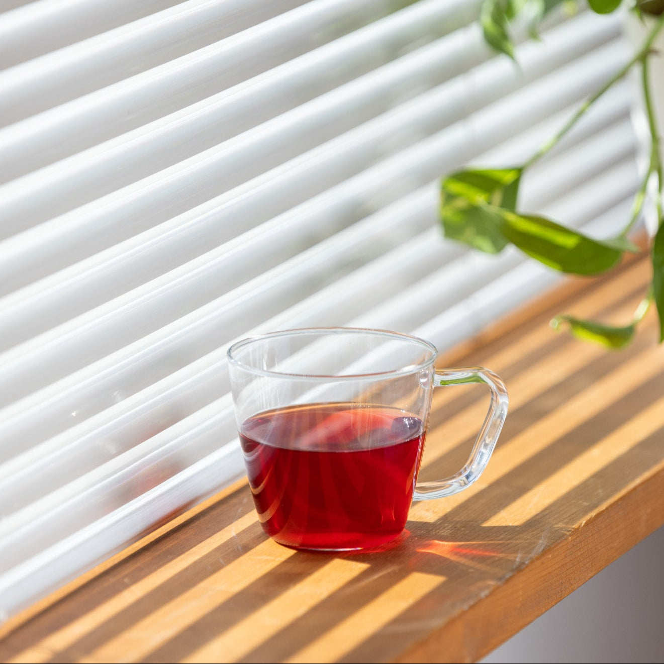 【卸販売】daytune. tea Volume Pack ♯ Warm up 高めるためのブレンド(ティーバッグ5個)(5セット)