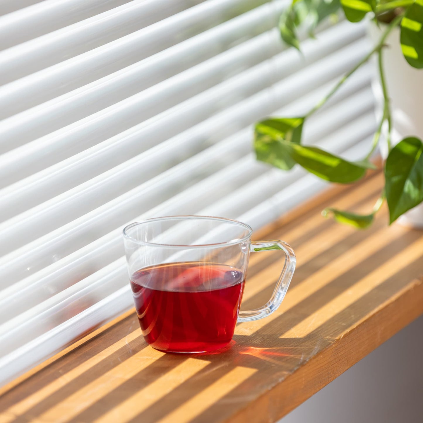 daytune. tea ボックス・L(6種類×3個)